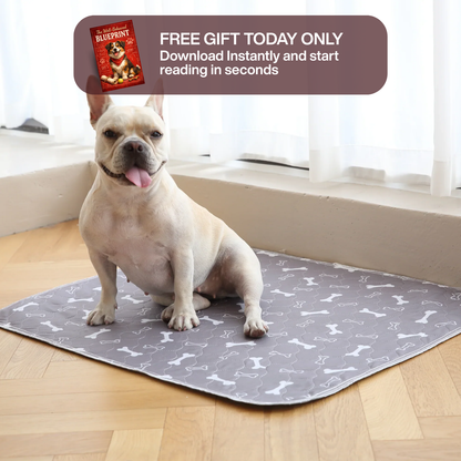 EverPad - The Last Pee Pad You'll Ever Need