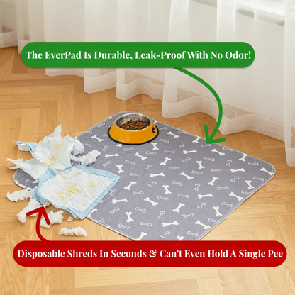 EverPad - The Last Pee Pad You'll Ever Need